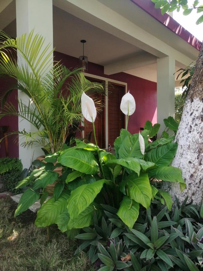 La Morada, Una Ventana Al Golfo - Hotel Boutique Monte Gordo Luaran gambar